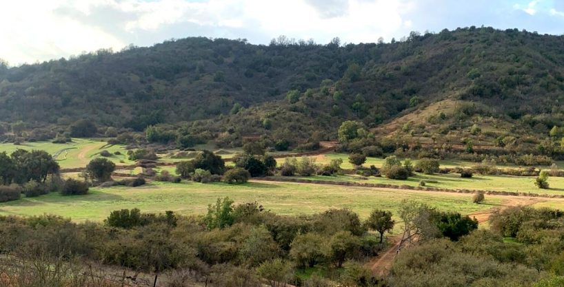 Canto del valle parcelas