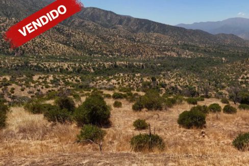 Parcela 116 H. El Mauco